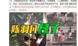 锤哥爆料杨荣荣视频播放,真相与争议并存